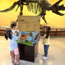 [9월 2주] 기쁨반의 서대문 자연사박물관 견학1 이미지