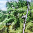 파주로 은행나무길 이미지