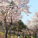 부천로264번길 이미지