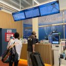 경덕중학교 | 청주 대전 프리다이빙 강습 | “루카다이브” 입문부터 자격증까지 완벽 가이드🫧