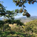 청도농장 이미지