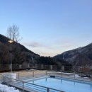 우다다애견 이미지