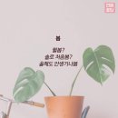 라임상사