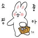 렌즈타운부경대점