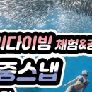 프리다이빙 체험 네이버블로그