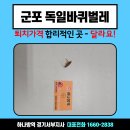 군포 독일바퀴벌레 퇴치 가격 합리적인 곳