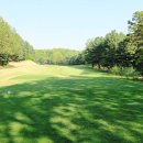 뉴코리아 이미지