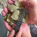 해조수산 이미지