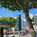 이형일소아과의원 이미지