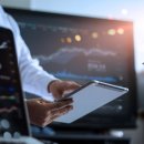 플라이 소프트 이미지