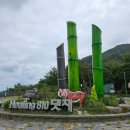 용인백두대간 8기종주대 21차(남진12구간 )정기산행 (수송버스 44인승 대처하여 진행함) 이미지