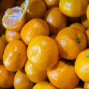 귤이네과일;야채