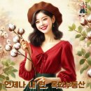 뉴동부공인중개사사무소 이미지