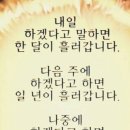 지원김밥 이미지