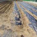 양평한울공인중개사사무소 이미지