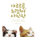 서영미 이미지