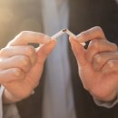 나라전자 이미지