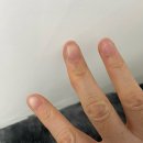실과바늘그리고또봄