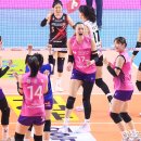 흥국생명 이미지