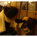 정든노래방 이미지