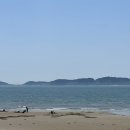 선창횟집 - 울릉군 | 태안청포대맛집 선창횟집 주말 방문 후기