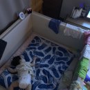 덕윤한의원 이미지