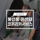 코끼리 카서비스 이미지