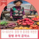 전남 함평빛축제 겨울여행 가족나들이 실내데이트코스 엑스포공원 추억 공작소