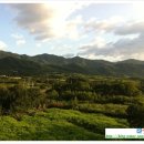 산수방민박