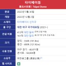 대만 티켓팅 tixcraft 후기, 꿀팁 대방출 / 태연 타이베이돔 입성!!