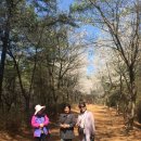 덕고개목장 이미지