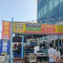 정동진항구회센타 | 정동진 횟집 항구회센타 우럭매운탕 물회 솔직후기