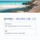 해변 - 강릉시 주문북로 100 | 해변