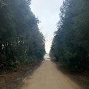 비자낭달집 이미지