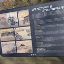 방화초록동원칼국수 이미지