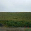 (주)엔젤렌터카 이미지