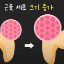 백천헬스 네이버블로그