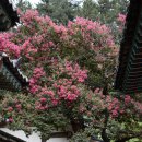 향교로R 이미지