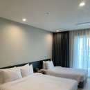 세븐일레븐홍천점 | [양양 애견동반 호텔] 체스터톤스 낙산 호텔