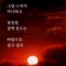 [영혼이 더 소중한 애잔한 사랑이야기] // 황혼의 사춘기 // 지금 시작하라! 나이는 없다. 이미지