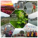 제6,7차.한국 100대 섬산행.여수 백야도 백호산 산행/환상적인 아름다운 꽃섬.하화도 (2020년 7월18일 토요일) 이미지