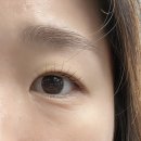 미라인뷰티 | 가산속눈썹 <미라인뷰티 속눈썹 가산점> 속눈썹펌 내돈내산 (완전 추천!!)