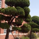 인천창영초등학교 이미지