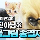 사랑스러운 반려동물 그리기