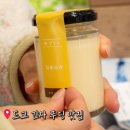 도쿄 긴자역 푸딩 맛집 푸딩 랩 연구소 다녀온 후기 PUDDING LAB