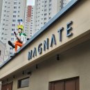 매그네이트 이미지