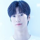 21세기 크리닝 이미지