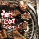 ( 보통의 후기 ) 평택역 숨겨진 갈비 맛집 “불타는 도야지”