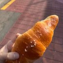 썬스랩 네이버블로그