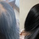 메디킹스 이미지